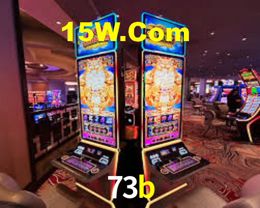 73b