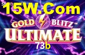 73b