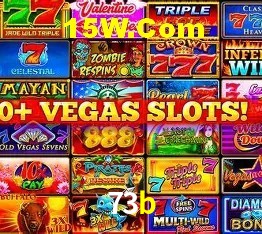 73b,73b.com